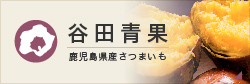 谷田青果ショッピングサイトを見る